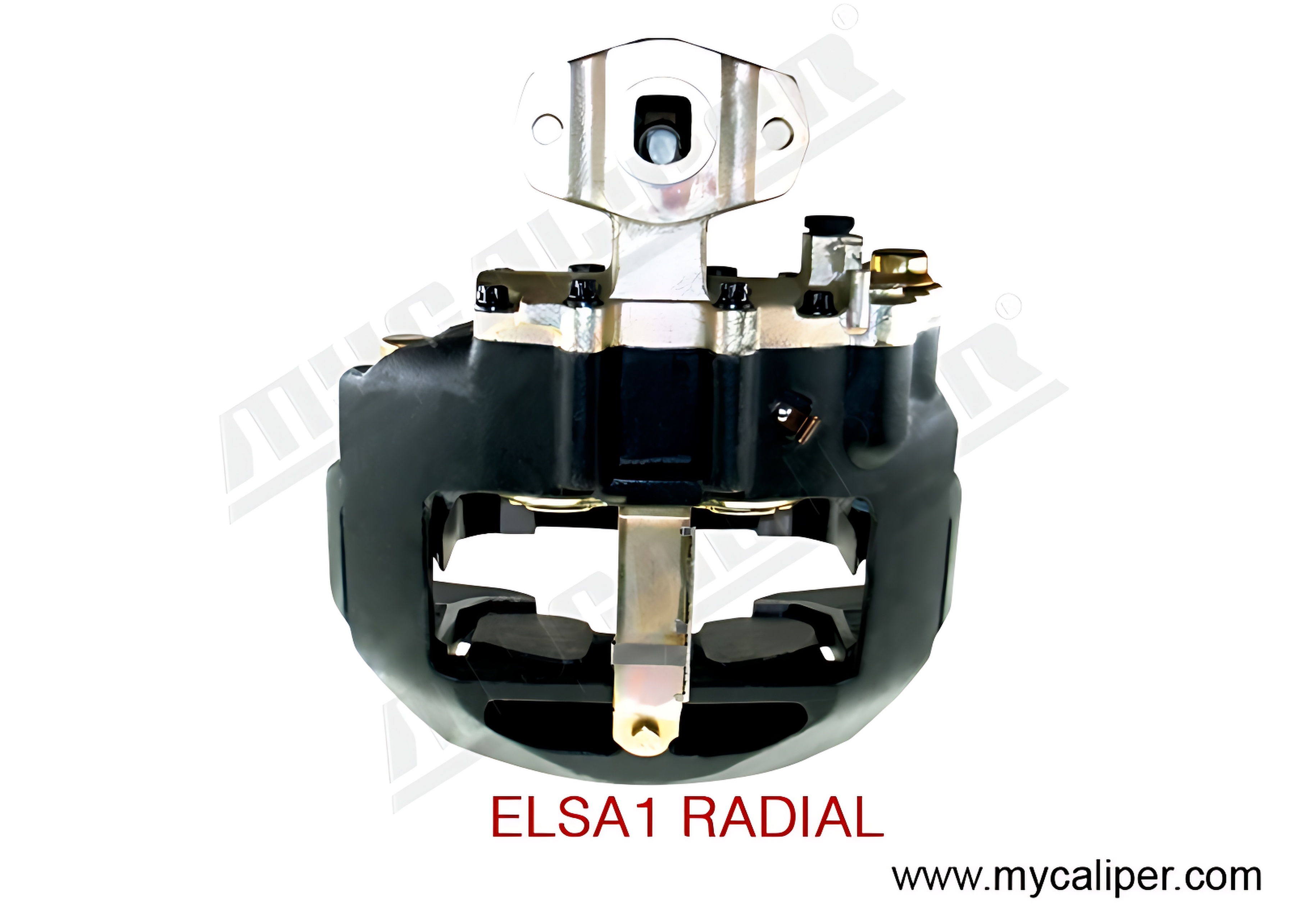 ELSA1 RADIAL TYPE