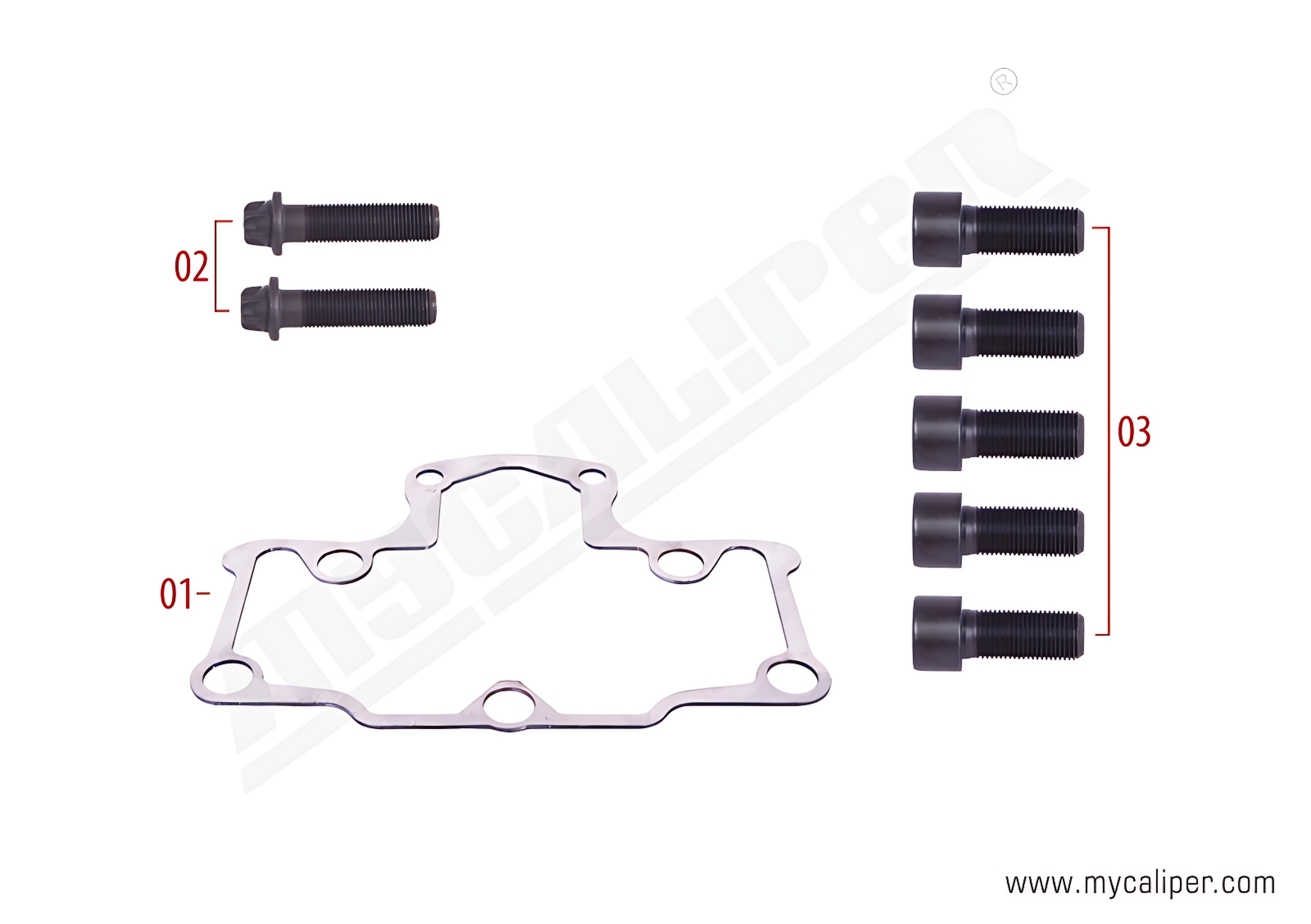 Caliper Gasket & Bolts Repair Kit