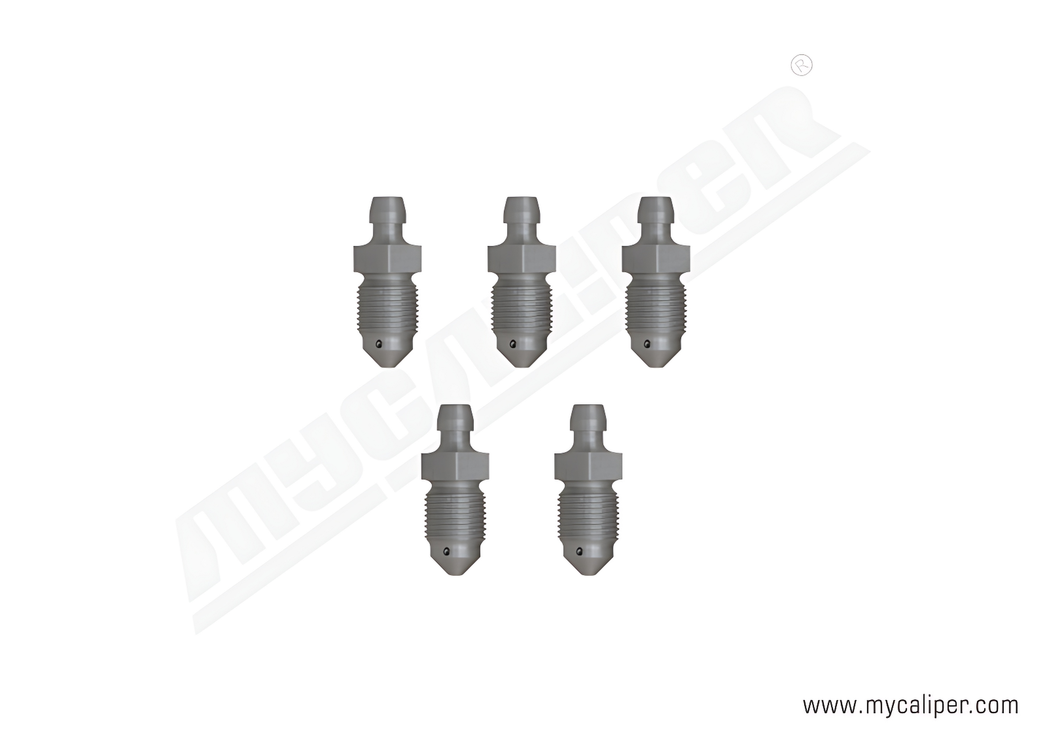 Caliper Lubrication Plug Kit