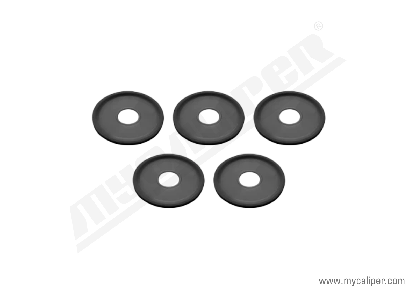 Caliper Seal Kit
