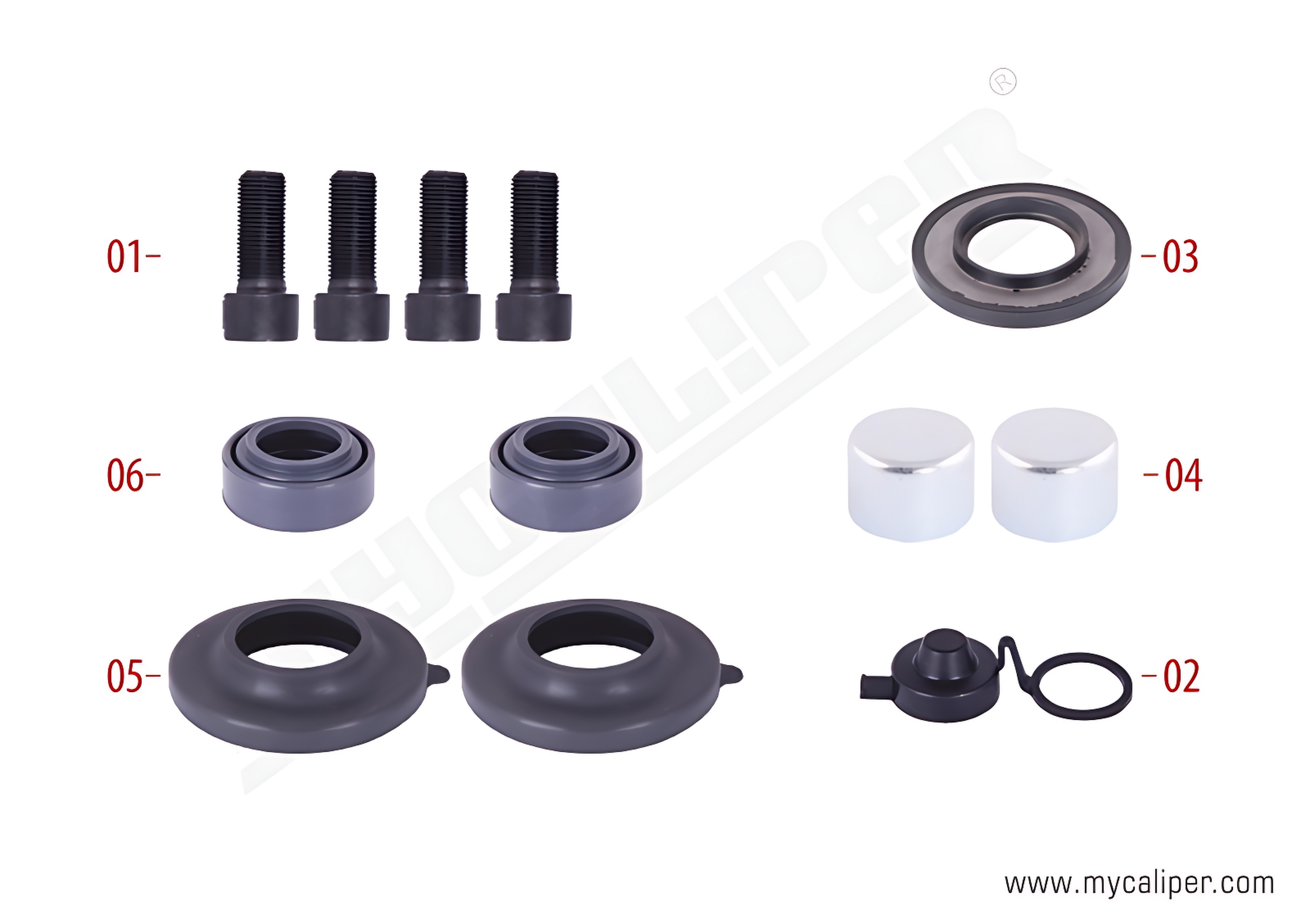 Caliper Seals & Bolts Repair Kit